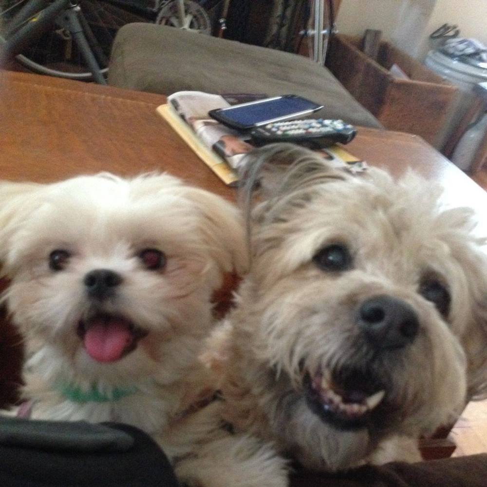 Meet your Posher, Martha